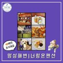 너랑온펜션ㅣ강아지 조식 애견 동반 강원도 동해 여행 추천 내돈내산 솔직한 후기