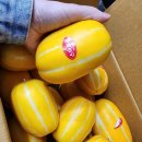 🍈 겨울에도 달콤한 하우스 참외(당근마켓)! 직접 먹어본 솔직 후기 🍈