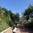 선원금호아파트 | [play] 여수 산책로 자전거 라이딩 코스 추천 및 만성리 불바다 핫도그 후기