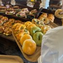도산그릭 | [런던 베이글] 런던 베이글 도산점/웨이팅&맛 후기🥯
