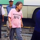 정글비