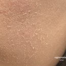 새마스타밧데리 | 초 ADHD였지만 재미있었던 시부야 신주쿠 위주 도쿄 여행 (+ 가마쿠라 초단기 당일치기) 후기