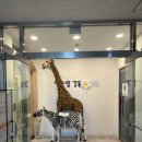 아이맘강동 실내놀이터 천호2동점 8개월 아기 이용후기