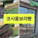 에코동 이미지