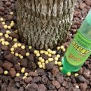 Force of Nature 이미지