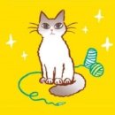 바느질하는고양이 이미지