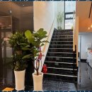 광탄 골프죤 이미지