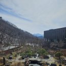 백운면 2536[15-11] | 제천 리조트 포레스트 리솜 S30 숙박후기