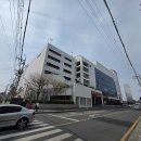 청주민속예술제 - 음악 공연 | 청주 무심천 벚꽃 축제 2026 후기, 평일에도 붐볐던 현장과 주차 팁 정리