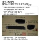 태기네 이미지