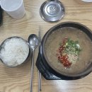 동빵제주동문 | [여행일기]뚜벅이의 2박3일 제주 서쪽 여행 3탄/우진해장국꿀팁, 공항근처오션뷰카페, 동문시장 통귤탕후루