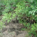 대학초등학교 이미지