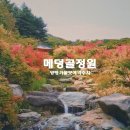(온라인)프랑스 인문학 여행 | 양평 메덩골정원 한국정원 개관, 온라인 예약 방법 후기 주차 꿀팁