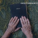 의료법인 따뜻한의료재단 이미지