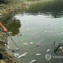 농암저수지 연합뉴스