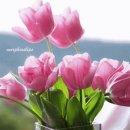 바람처럼구름처럼 이미지