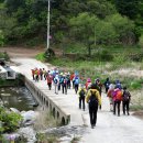 4월30일(수) 홍천6경 공작산 생태숲과 수타사 산소길 희망걷기 (다빈님 진행) 이미지