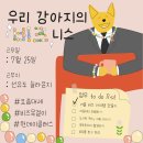 롤로파티 이미지