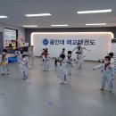 용인대 국기 태권도장 | 매교태권도 용인대매교태권도장 후기