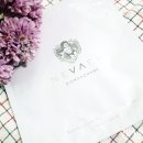 네바에(NEVAEH) 이미지