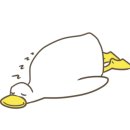 다이꼬지 이미지
