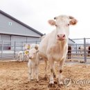 기운축산 이미지