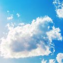 파라다이스가든 이미지