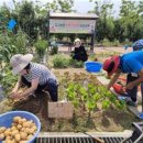 조경기능사 자격과정(이론) 이미지