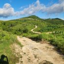회야강자전거길R | 고개,늪~주남고개~천성산비로봉~등잔산~대운산~대추봉~대운산임도~회야강~덕하 88.5km(상승고도 2974m)