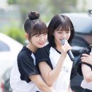 아린