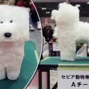 네모네모 이미지