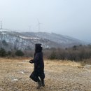 육일목장 네이버블로그