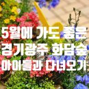 5월의 주말 아이들과 화담숲 갔다가 모노레일 두 번 타고 온 후기
