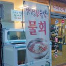 부산 재송센텀 맛집 해성회수산 물회 모듬회소 후기