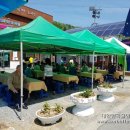 상판리 마을회관 이미지