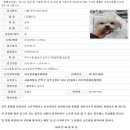 러브펫종합동물병원 이미지