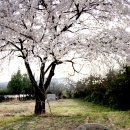 북삼 오평분교 이미지