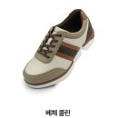 슈올즈 이미지