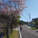 저구망산등산로 이미지