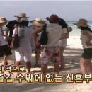 코디여행사 이미지