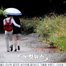 내일 더 이미지