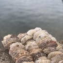 산달도 위시 펜션 이미지