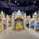 주식회사 라이온 플러스 이미지