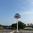 테디스