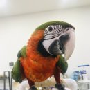 가든조류원 이미지