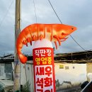불타는새우석화
