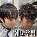 트렌드믹스 | 2026 남자펌 추천, 남자 쉐도우펌 프링펌 믹스 디자인 후기