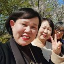 꿈빛작은도서관 Daum카페