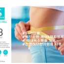에스바디바 이미지