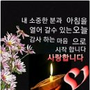 희나리 이미지